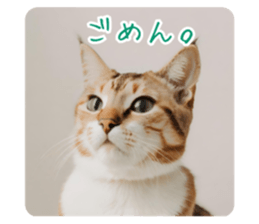 652280868