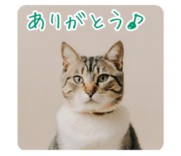 652280874