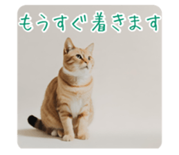652280876