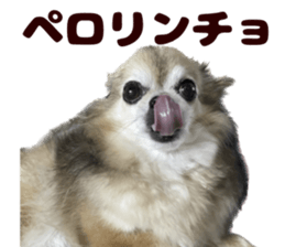 652281551
