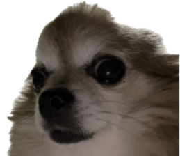 652281552