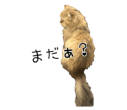 652283683