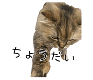 652283685