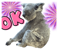652286022