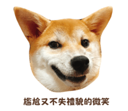 652291010