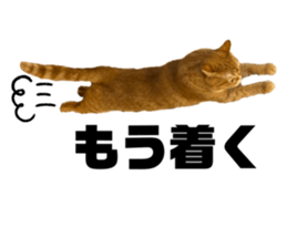652291679