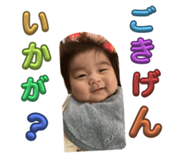 652306365