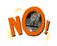 652311484