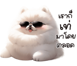652314393