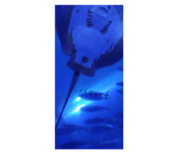 652315753