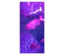 652315754
