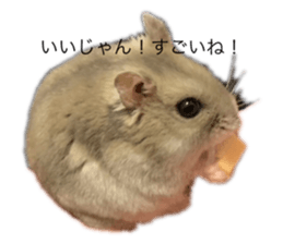 652316460
