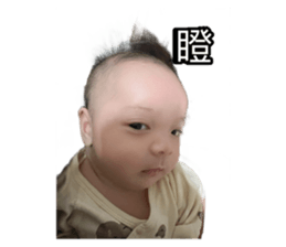652318187