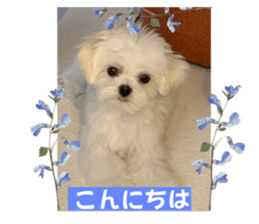 652323455