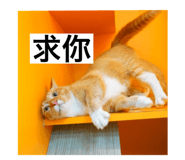 652325084