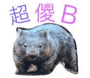 652325381