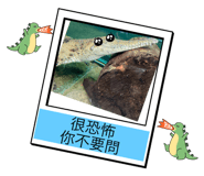 652325396