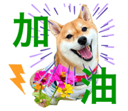 652341999