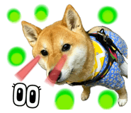 652342005