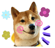 652342009