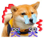 652342018