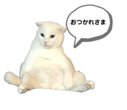 652395255