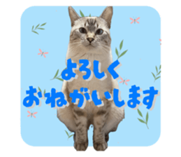 652410549
