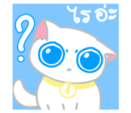 652442224