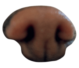 652468825