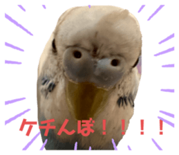 652478577