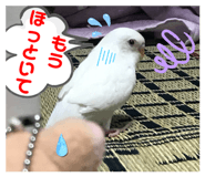 652479505