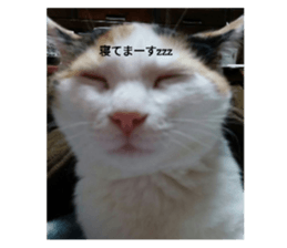 652494071