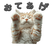 652508427