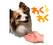 652509674