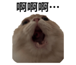 652512358