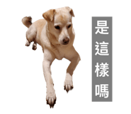 652515553