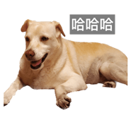 652515555