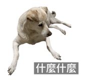 652515557