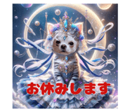 652520223