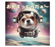 652520232
