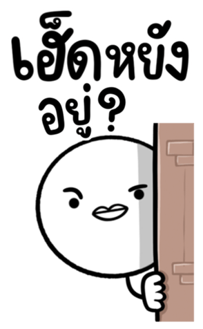 652532647