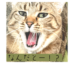 652538157