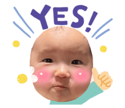 652540377