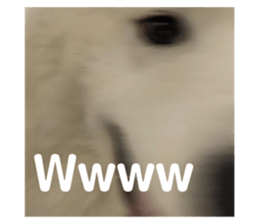 652544759