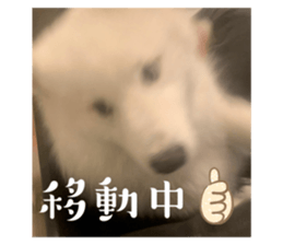 652544762