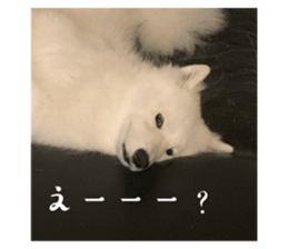 652544763