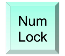 652546902