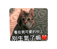 652547744