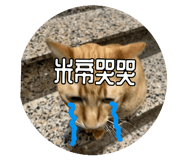 652547748