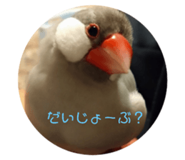 652554555